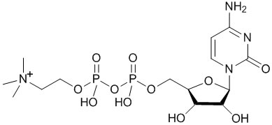 Scienza: Citicolina, un farmaco naturale ed economico, miracoloso per molte patologie secondo il Prof. Dr. Francesco Dario Labate