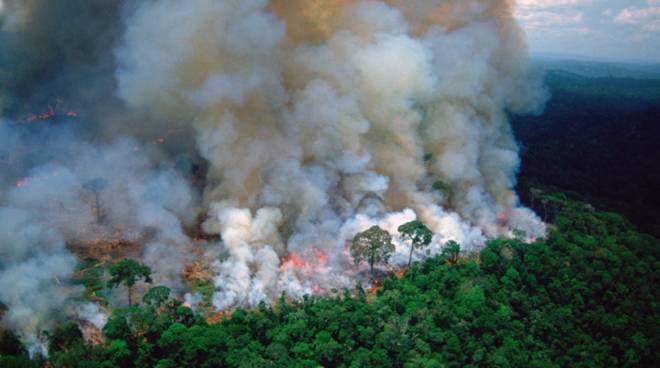 2019: UN ANNO DI FUOCO PER LE FORESTE DEL PIANETA