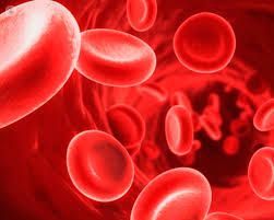 Salute, 84mila italiani con aneurisma dell’aorta addominale