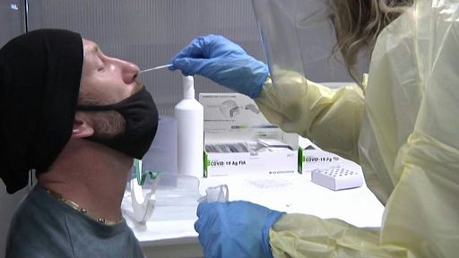 Influenza del cammello, torna il terrore virale: “È un virus letale”