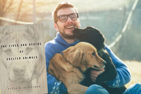 Trattate bene i cani? Siete razzisti