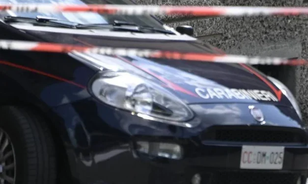 Orrore nel Torinese, uccide la madre e la seppellisce nel bosco: “Volevo la pensione”