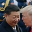 Equilibri di Pechino: il peso delle materie prime nel dialogo Xi-Trump