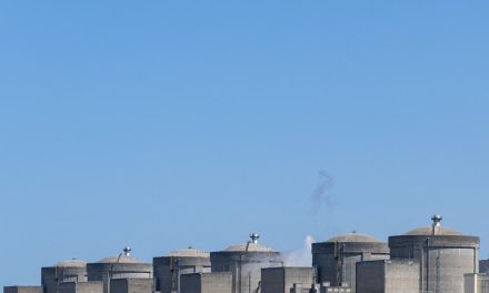 Caldo eccezionale in Francia: sospesi otto reattori nucleari tra picchi termici e meduse