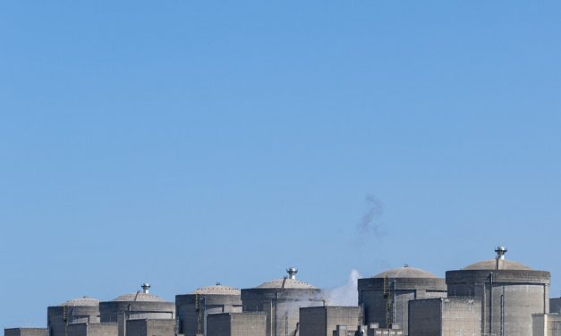 Caldo eccezionale in Francia: sospesi otto reattori nucleari tra picchi termici e meduse