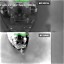 Scontro USA-Iran nel Golfo Persico: raid sulle petroliere, attacchi alle basi e stallo a Hormuz