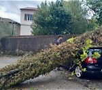 Drammatico maltempo nel Senese: una vittima e ingenti danni a Sinalunga