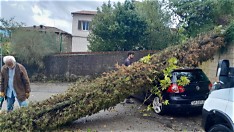 Drammatico maltempo nel Senese: una vittima e ingenti danni a Sinalunga